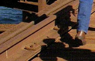 shiploader.gif