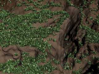 grass3.jpg