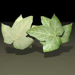 leaftestfrontlit.jpg
