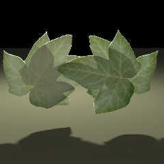 leaftestbacklit.jpg