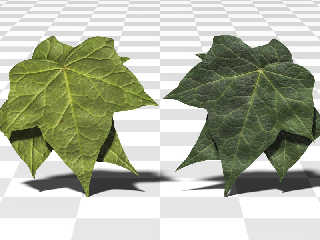 leaves-front-light.jpg