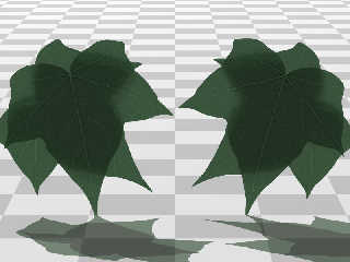 translucent_leaves2.jpg