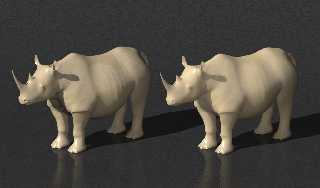 rhinos.png