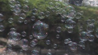 air_bubbles5.jpg