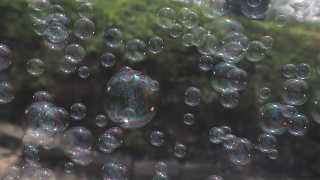 air_bubbles5.jpg
