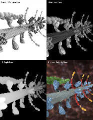 myosin_actin_mybpc_renderpasses.jpg