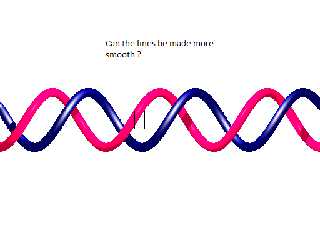 example_dna.png
