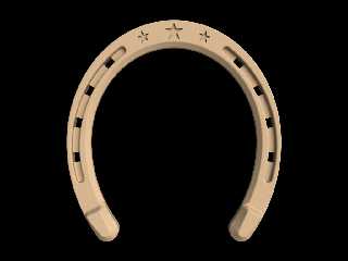 test_horseshoe.jpg