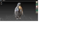 pingouin.png