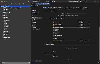 xcodepovray.png