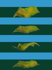 torolavterraingrass_ngs.jpg