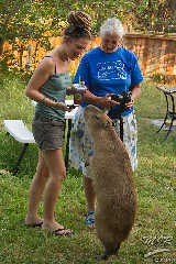 2011_06_11-19_25_01-eos 7d-10202.jpg