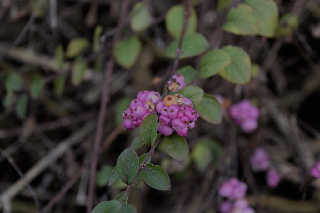 image5.jpg