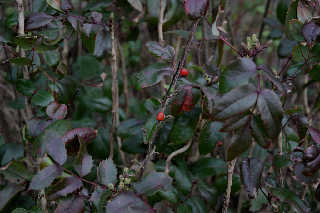 image6.jpg