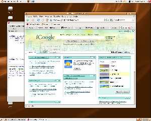 igoogle.jpg